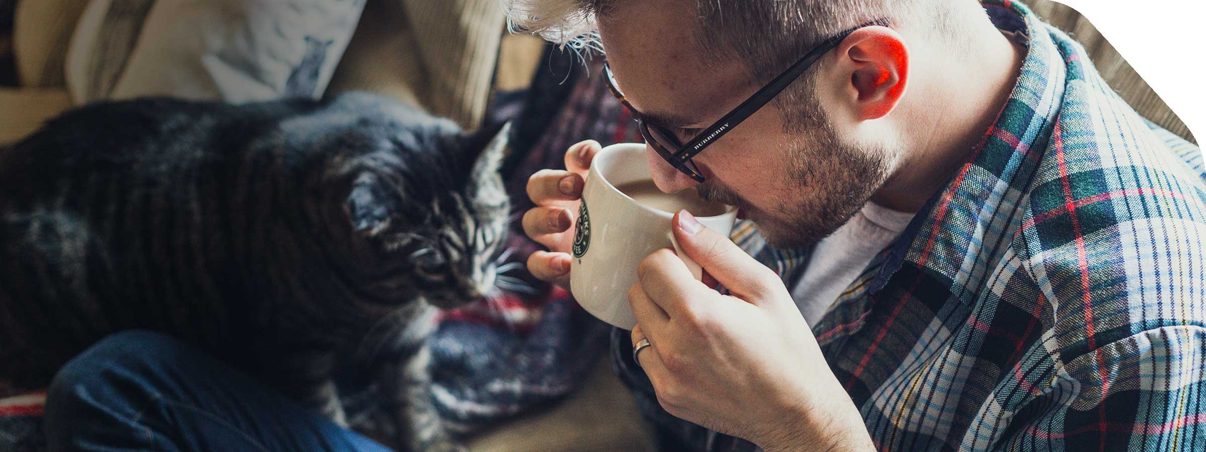 Image of cat with man drinking coffee