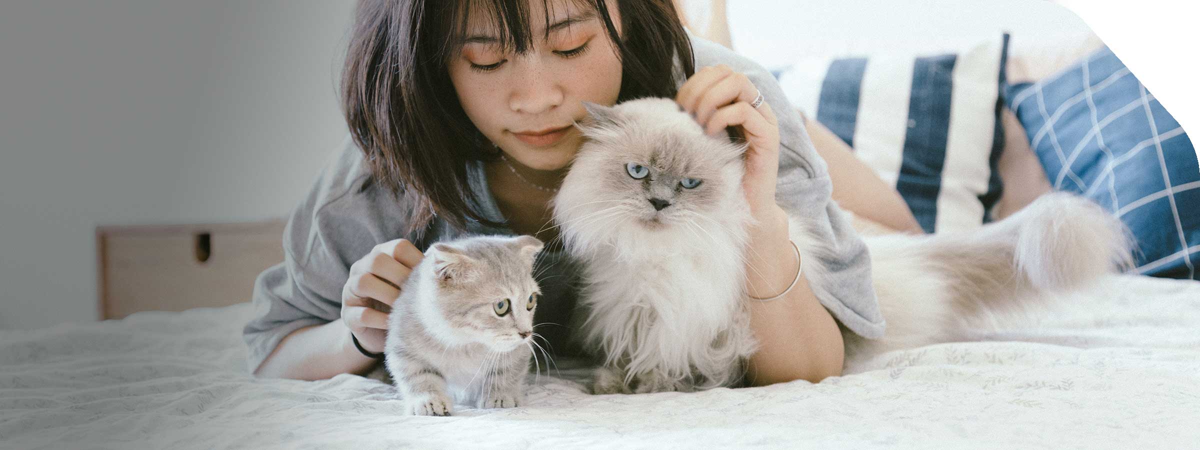 Photo of young woman with cat and kitten